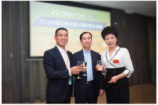 營收創新高，波司登羽絨服一改低調，王者歸來引領羽絨制品加工